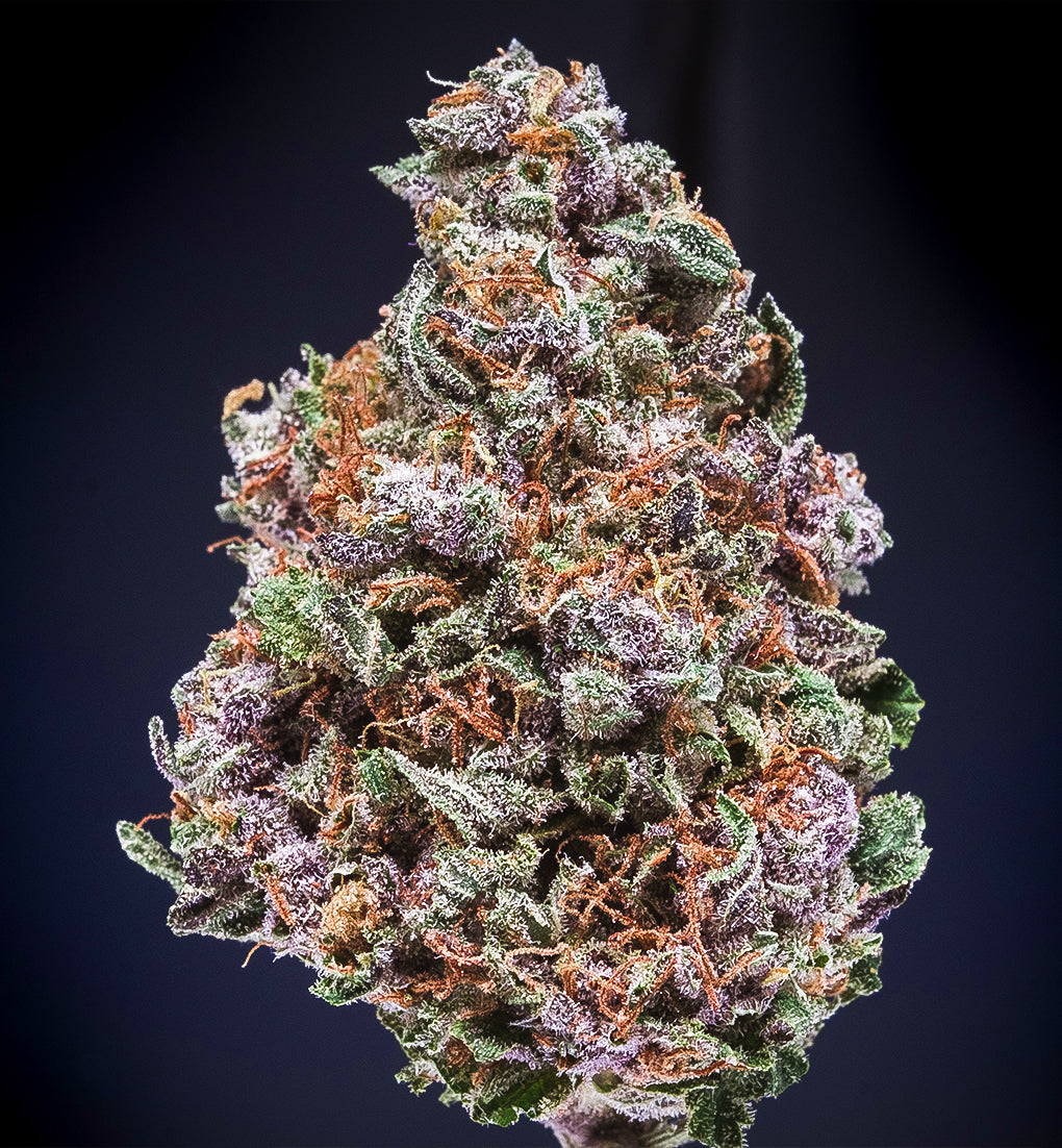 CANDY PEACHES - Limited