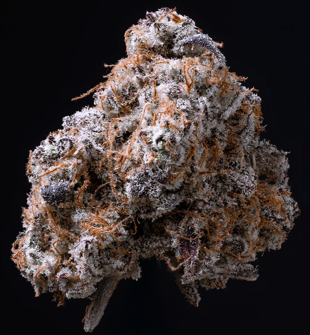EXOTIC CANDIES - Limited