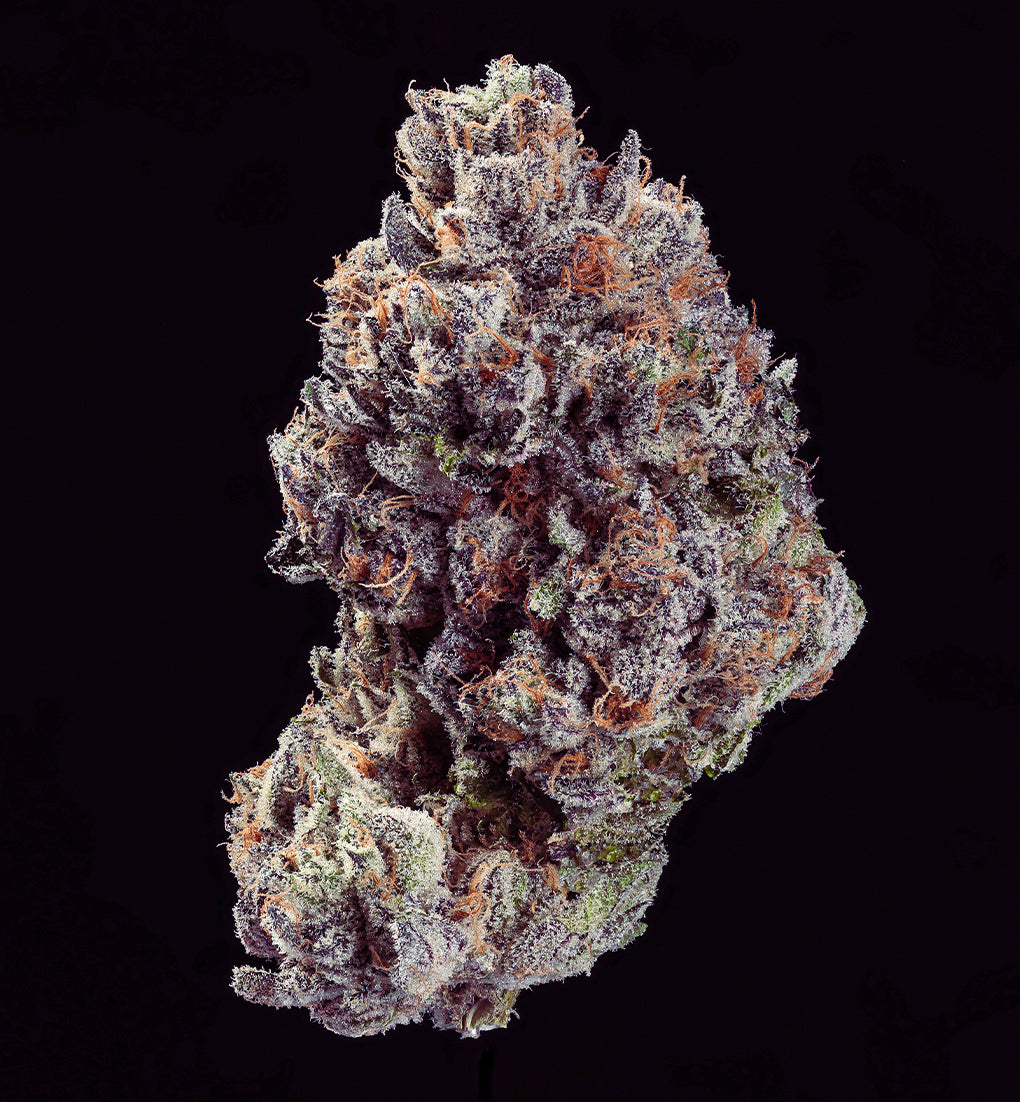 EXOTIC CANDIES - Limited
