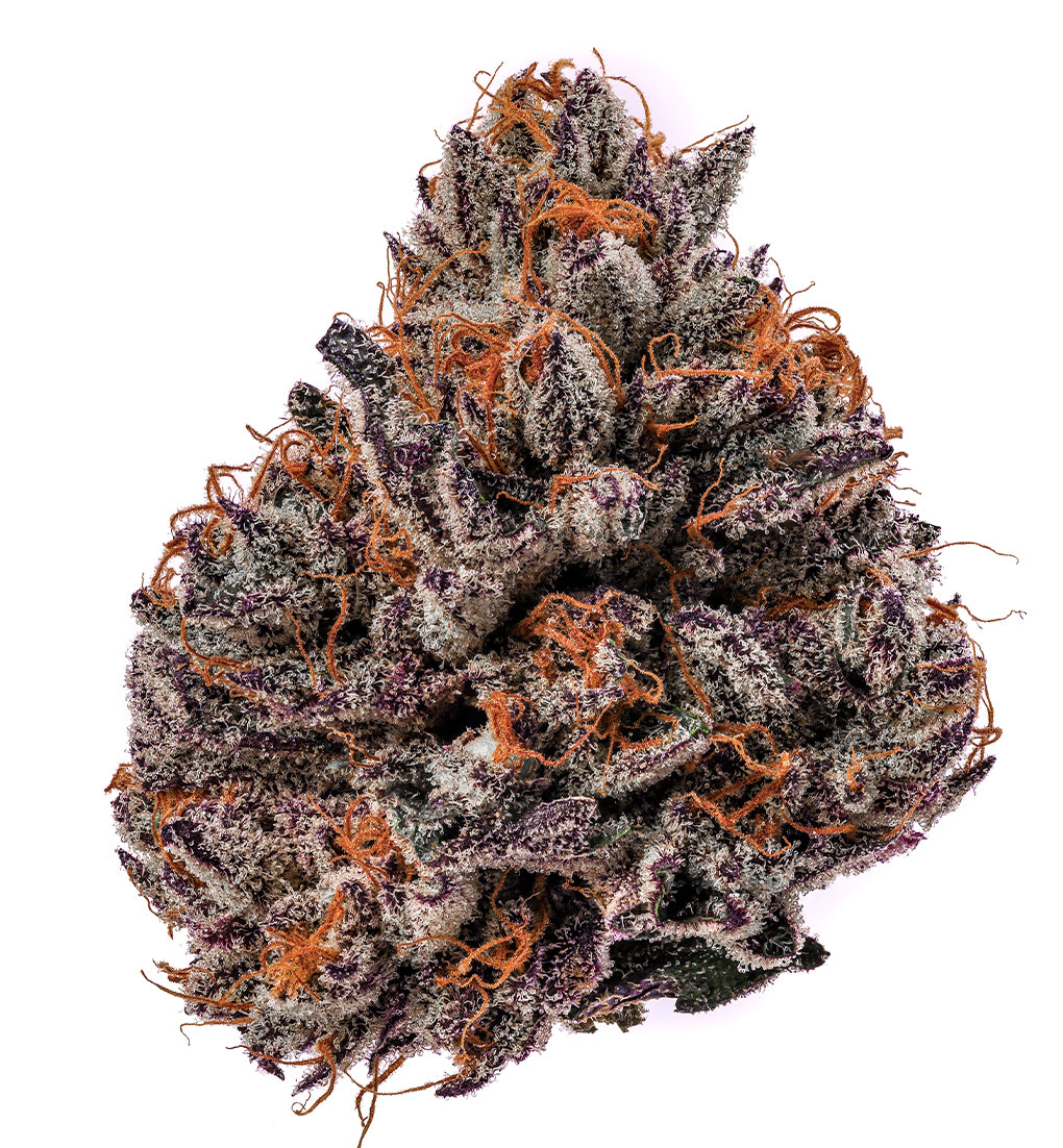 EXOTIC GUAVA - Limited