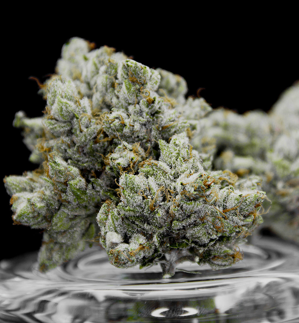 PINK LEMONADE - Limited