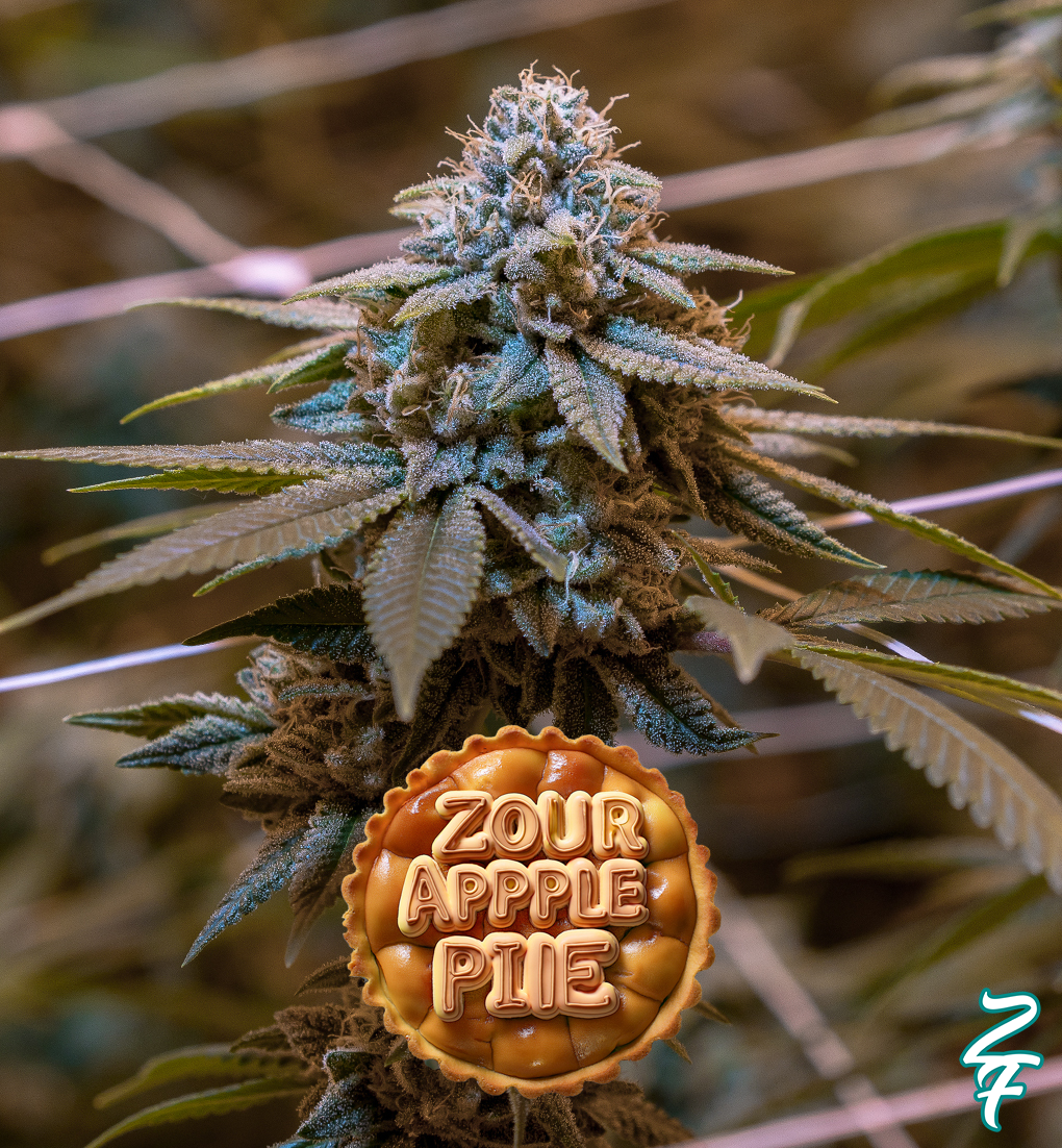 ZOUR APPLE PIE