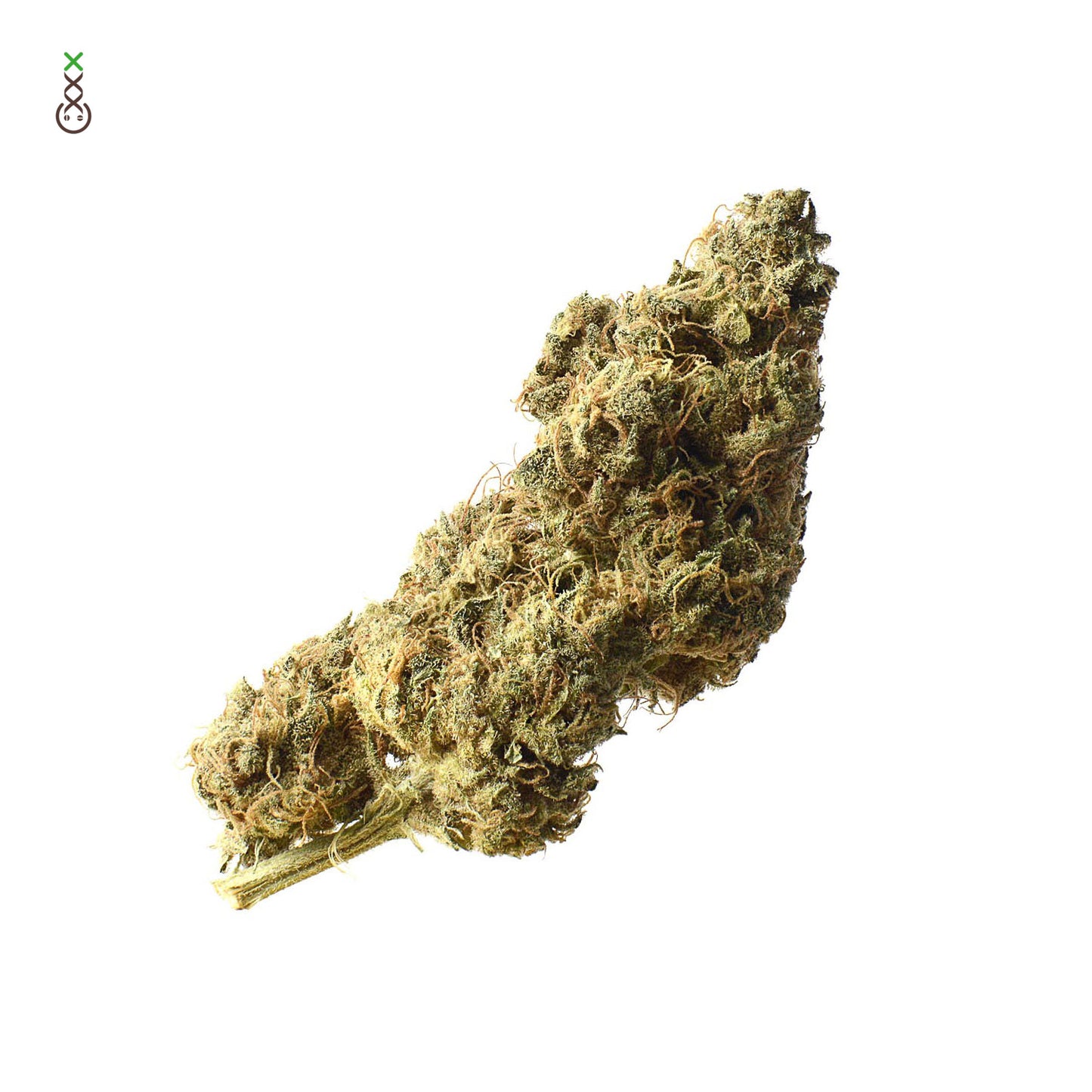 White Choco Haze