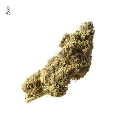 White Choco Haze
